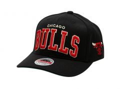 THE CHAMP ICONIC RL BULLS