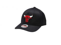 BLK+TM CLR LOGO P PANEL BULLS