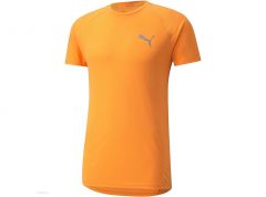 Puma Men's Evostripe Tee