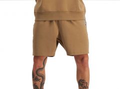 Champion Men's Rochester Base Shorts