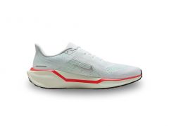 AIR MENS AIR ZOOM PEGASUS 41