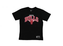 NBA Youth Team Arch Tee Bulls