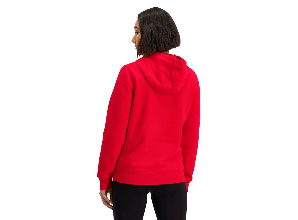 Champion script sleeve hoodie best sale